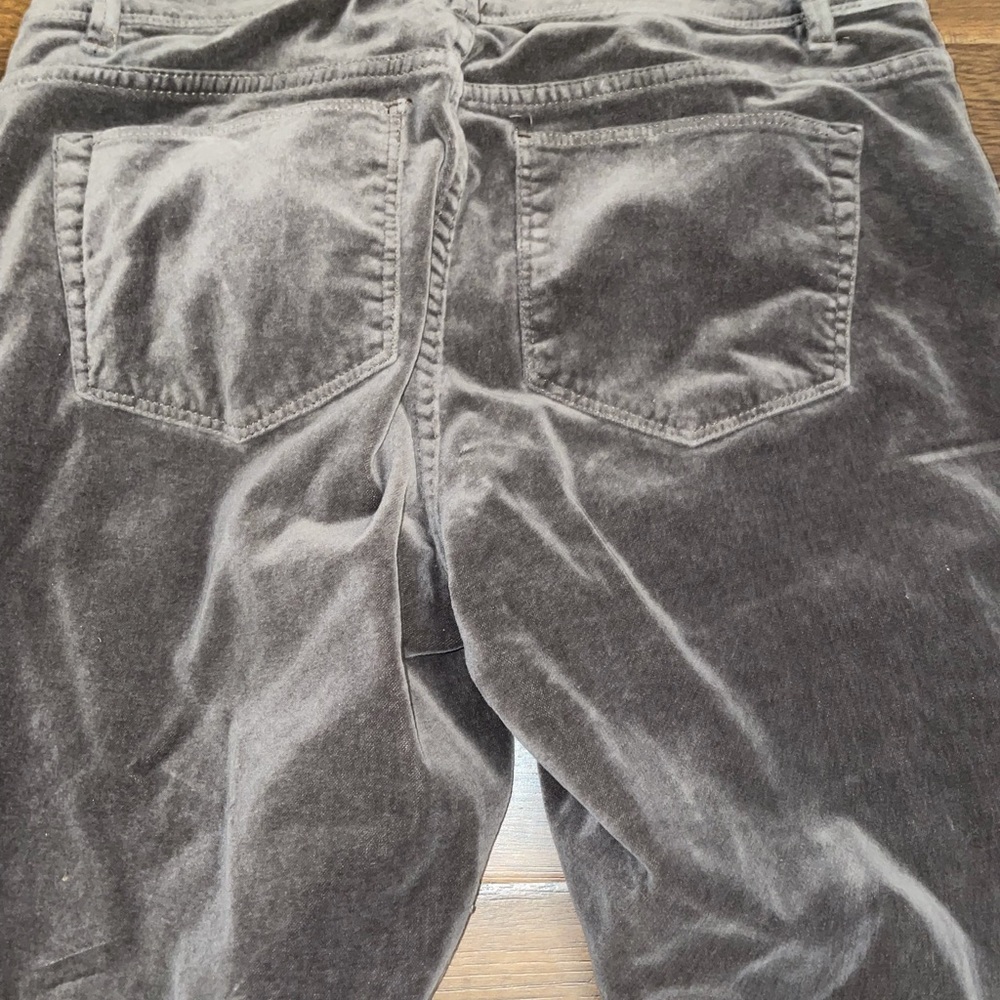 J. Jill Velvet Pant - Picture 11 of 12
